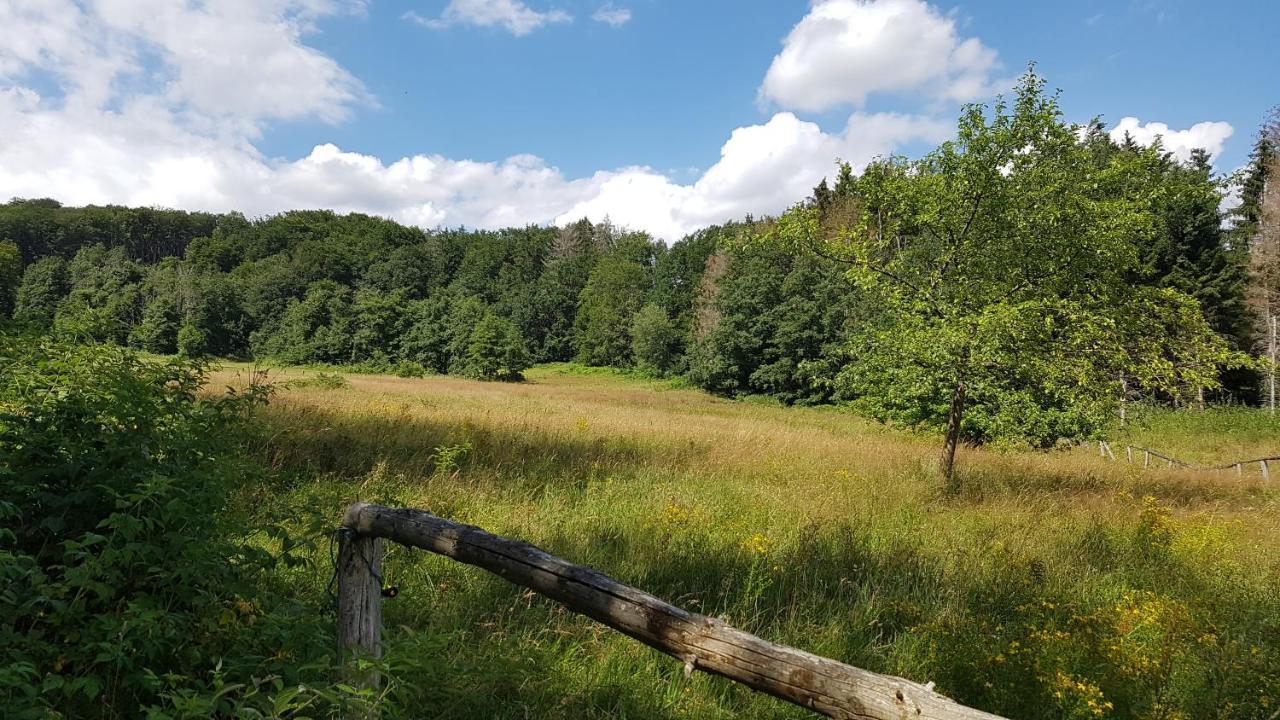 Schoener Weitblick Bad Sachsa Esterno foto