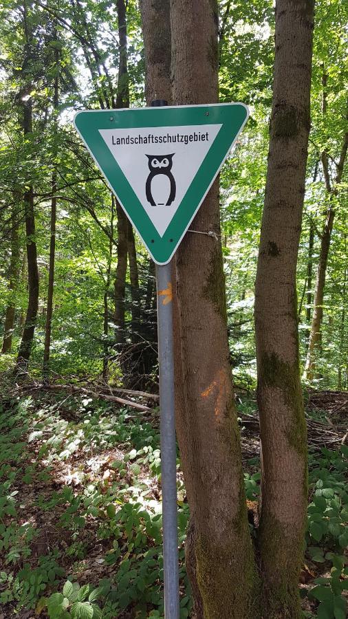 Schoener Weitblick Bad Sachsa Esterno foto